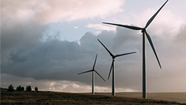 United Arab Emirates To Expand The Use Of Renewable Energy
